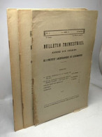 Bulletin Trimestriel Annexé Aux Annales De L'institut Archéologique Du Luxembourg - Année 1926 N°1-3-4 - Archeologia