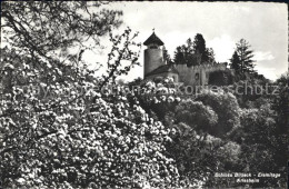 12043500 Arlesheim Schloss Birseck Eremitage Baumbluete Arlesheim - Autres & Non Classés