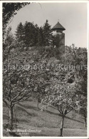 12042428 Arlesheim Schloss Birseck Eremitage Baumbluete Arlesheim - Altri & Non Classificati