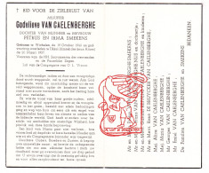 DP Godelieve Van Caelenberghe / Smekens 16j. ° Wichelen 1940 † Ukkel 1957 // Nijs Keppens De Bruycker - Imágenes Religiosas