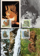 BELGIQUE BELGIE BELGIO BELGIUM 1992 FAUNA ANIMALS ANIMAUX SET SERIE 4 MAXI CARD CARTOLINE MAXIMUM - 1991-2000