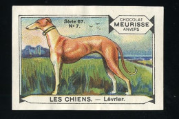 Meurisse - Ca 1930 - 67 - Les Chiens, Dogs - 7 - Lévrier, Greyhound - Andere & Zonder Classificatie