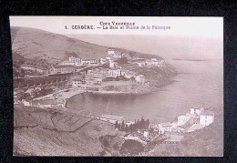 Cp, 66, Cerbère, La Baie Et Pointe De La Palanque, écrite 1929 - Cerbere