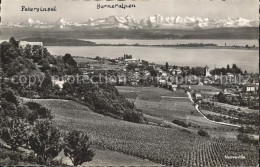 12041610 Neuveville Mit Weinreben Petersinsel Alpen Neuchatel - Sonstige & Ohne Zuordnung