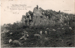 SAINT LEONARD DES BOIS ( 72 ) - Rochers Du Champ Du Pas - Saint Leonard Des Bois