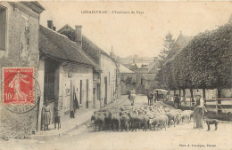 95 GENAINVILLE. Berger Et Troupeau De Moutons à L'intérieur Du Pays 1906 - Other & Unclassified