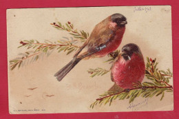 AF365 FANTAISIES OISEAUX BOUVREUILS FANCIES BIRDS EN 1903 - Birds