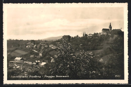 AK Friedberg-Pinggau /Steiermark, Ortsansicht Im Frühling  - Sonstige & Ohne Zuordnung