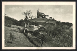 AK Pöllauberg /Steiermark, Blick Zur Kirche  - Sonstige & Ohne Zuordnung