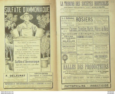 La Tribune Des Stés Horticoles Belgique 1911 - 1900 – 1949