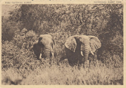 OLIFANTEN EDWARD MEER VLAAAKTE  ELEPHANT CONGO BELGE - Elefanti