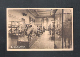 TERVUREN - MUSEUM VAN BELGISCH CONGO - ZAAL DER ZOOGDIEREN - NELS  (14.180) - Tervuren