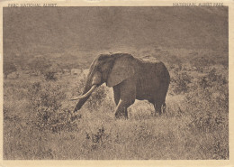 OLIFANTEN EDWARD MEER VLAAAKTE  ELEPHANT CONGO BELGE - Elefanten