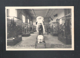 TERVUEREN - MUSEE DU CONGO BELGE - CRANES D'ELEPHANTS - NELS  (14.190) - Tervuren