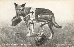 ANIMAUX - Le Chien Sanitaire Et Patriote ! - Carte Postale Ancienne - Dogs