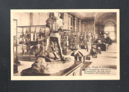 TERVUEREN - MUSEE DU CONGO BELGE - SALLE ETHNOGRAPHIQUE - NELS  (14.206) - Tervuren