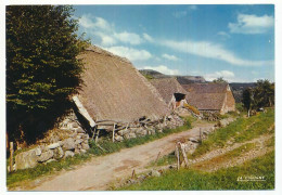 CPSM / CPM 10,5 X 15 Puy De Dôme (?) Auvergne Buron Au Toit De Chaume  Maison D'Autrefois - Other & Unclassified