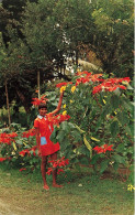 FRANCE - Martinique - Ajoupa Bouillon - 6 Mois Vert, 6 Mois Rouge - Et Hibiscus Jaune Double - Carte Postale Ancienne - Autres & Non Classés
