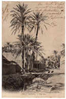 CPA ALGERIE : 26 - VIEUX BISKRA - Une Rue - Ed. N.D.Phot - Précurseur DND Avant 1904 - Biskra