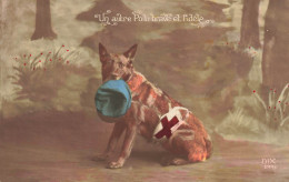 CROIX ROUGE - Un Autre Poilu Brave Et Fidèle - Chien - Carte Postale Ancienne - Red Cross