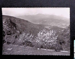 Cp, 66, Le Vallespir, En Roussillon, Le Massif Du Canigou, Au Printemps Vu De Fontfrède, Vierge, Ed. Théojac, N° 49-12 - Andere & Zonder Classificatie