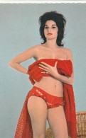 PIA COSTI - Pin-Ups