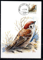 BELGIQUE BELGIE BELGIO BELGIUM 1989 BIRD FAUNA TREE SPARROW PASSER MONTANUS 2fr MAXI CARD CARTOLINE MAXIMUM - 1981-1990