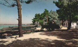 33 ANDERNOS LA PLAGE DU FALGOUET - Andernos-les-Bains