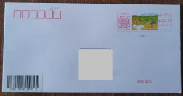 China Cover "Our Fields" (Urumqi) Colored Postage Machine Stamped First Day Actual Delivery Seal - Buste