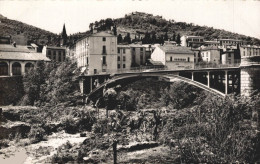 66 AMELIES-LES-BAINS LE PONT SUR LE TECH ET LE FORT - Amélie-les-Bains-Palalda