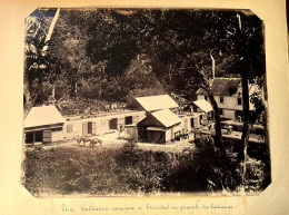 Trinidad Et Tobago * Habitation Cacaoyère , Les Bâtiments * Cacao * Grande Photo Albuminée Circa 1890/1910 26x20cm - Trinidad