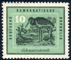 699 Vögel Schwarzstorch 10 Pf ** - Unused Stamps