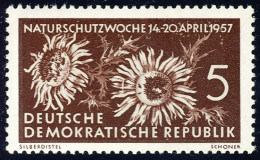 561 Naturschutzwoche 5 Pf Silberdistel ** - Nuevos