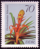 3152 Bromelien 70 Pf ** - Neufs