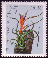 3150 Bromelien 25 Pf ** - Unused Stamps