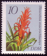 3149 Bromelien 10 Pf ** - Neufs