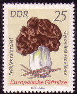 1937 Giftpilze Frühjahrslorchel 25 Pf ** Postfrisch - Unused Stamps