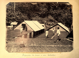 Trinidad Et Tobago * Habitation , Préparation Cacaos * Cacaoyère Cacao * Grande Photo Albuminée Circa 1890/1910 26x20cm - Trinidad