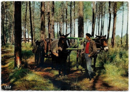 AU PAYS LANDAIS - Attelage De Mules - Sonstige & Ohne Zuordnung