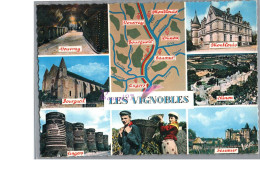 LES VIGNOBLES DU VAL DE LOIRE - Plan Carte De La Région Raisin RégolteVouvray Montlouis Bourgueil Anf=gers Saumur Chinon - Sonstige & Ohne Zuordnung