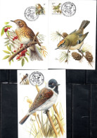 BELGIQUE BELGIE BELGIO BELGIUM 1991 BIRDS FAUNA BIRD SET OF 3 SERIE MAXI CARD CARTOLINE MAXIMUM - 1991-2000