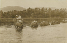 Malayan Elephant Crossing A River Real Photo - Malesia