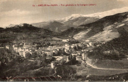 Amelie Les Bains Vue Generale Et Le Canigou - Amélie-les-Bains-Palalda