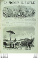 Le Monde Illustré 1867 N°552 Italie Viterbe Versailles (78) St-Hubert Pierrefonds (60) Lille (59) - 1850 - 1899