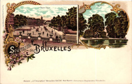 BRUXELLES / BRUSSEL / LITHO CARTE / MULTIVUE - Panoramische Zichten, Meerdere Zichten