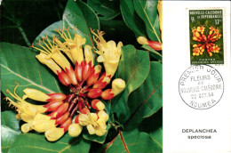 NOUVELLE CALEDONIE CARTE MAXIMUM 1964 FLEUR - Tarjetas – Máxima