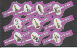 Reeks   396  Microscoop 1-10  ,10  Stuks Compleet   , Sigarenbanden Vitolas , Etiquette - Cigar Bands