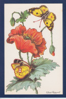CPA 1 Euro Papillon Et Fleur Par Calvet Rogniat Non Circulée Prix De Départ 1 Euro - Schmetterlinge