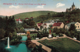 ALLEMAGNE - Konigstein I T - Herzog Adolf Anlage Und Villa Andrea - Colorisé - Carte Postale Ancienne - Koenigstein
