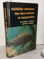 Cichlidés Africains Des Lacs Malawi Et Tanganyika - Ohne Zuordnung